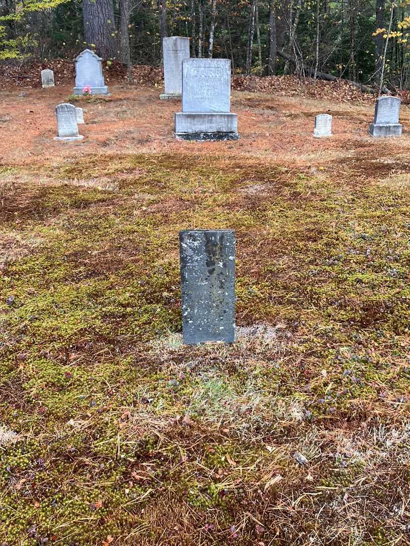 Fanny Fisher's grave. Photo 1