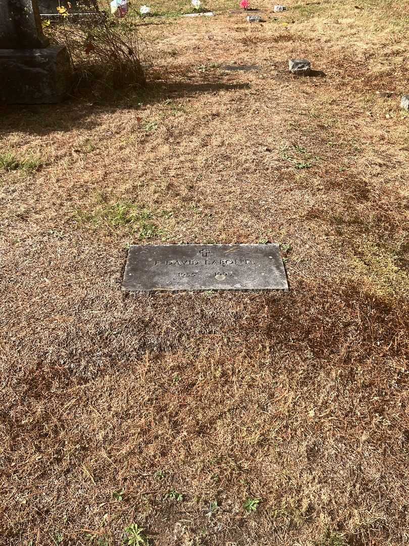 F. David Labonte's grave. Photo 1