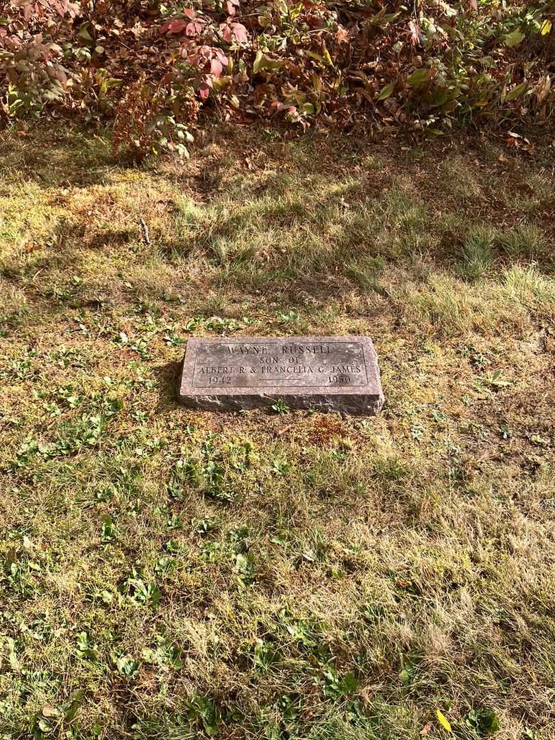 Wayne Russell James's grave. Photo 2