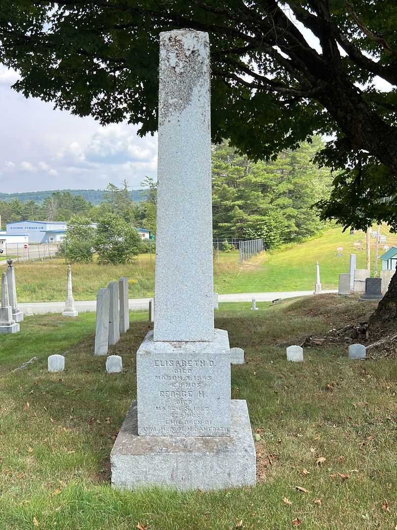 Elisabeth D. Danforth's grave. Photo 2