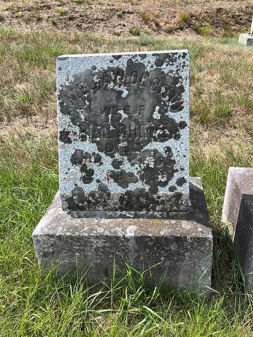 Amelia W. Olcott Cheney's grave. Photo 2