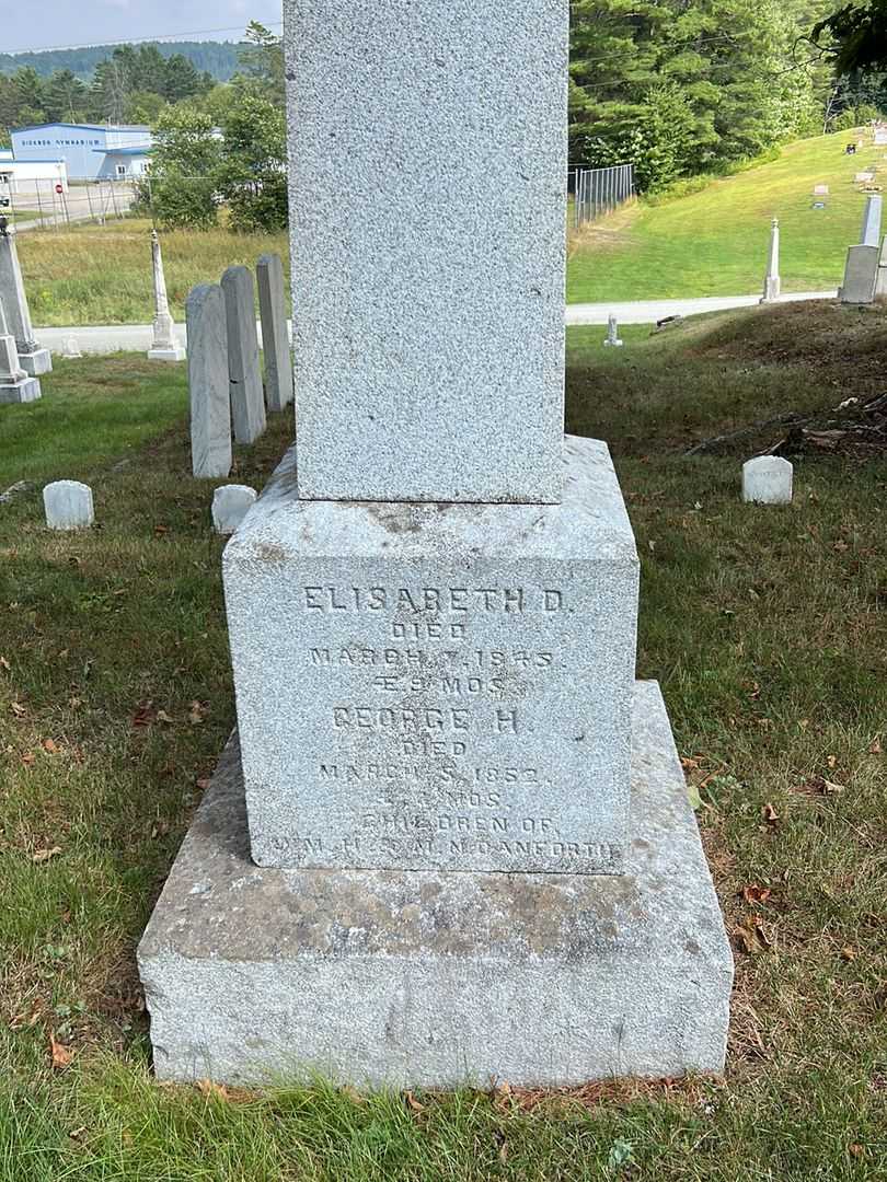 Elisabeth D. Danforth's grave. Photo 3
