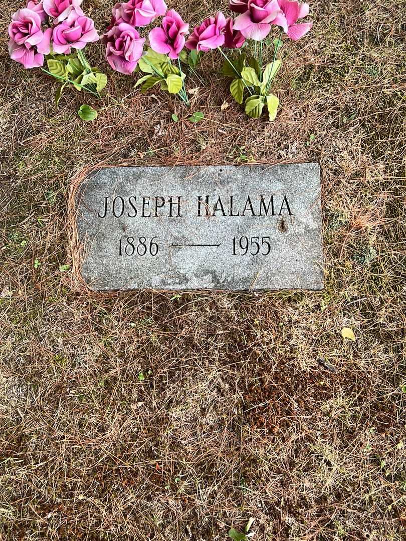 Joseph Halama's grave. Photo 2