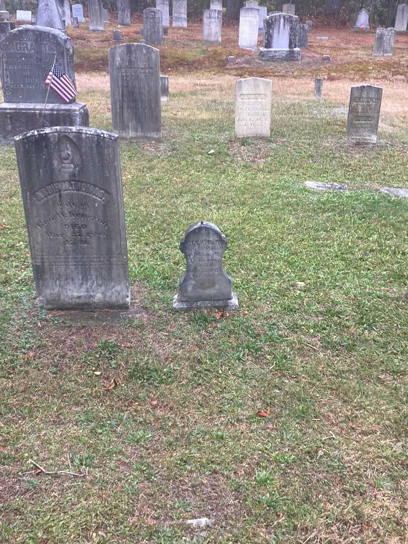 Eller M. Keneson's grave. Photo 1