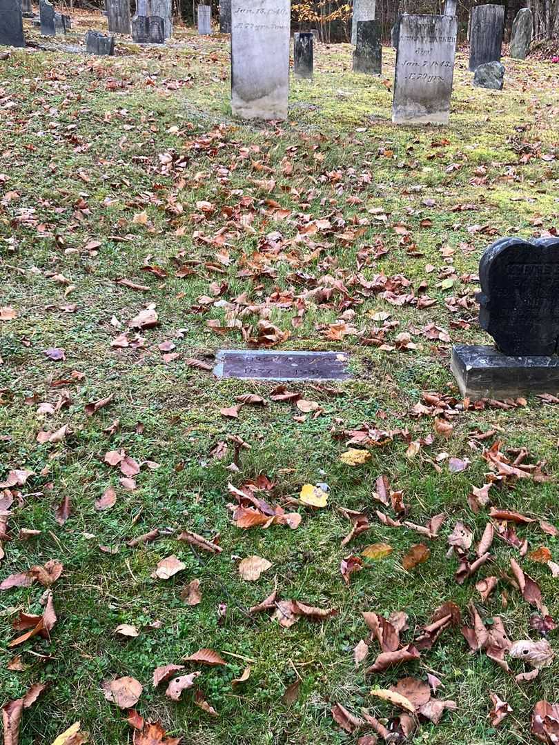 George A. Smith's grave. Photo 1