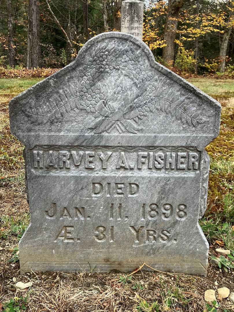 Harvey A. Fisher's grave. Photo 2