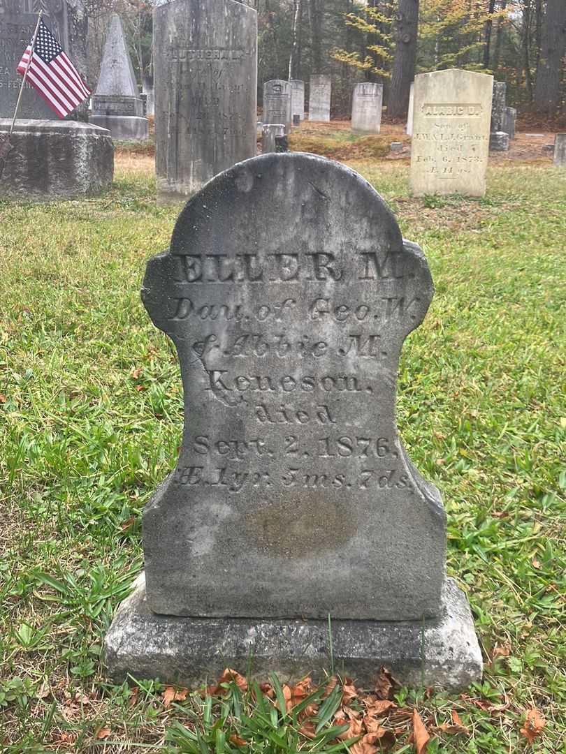 Eller M. Keneson's grave. Photo 2
