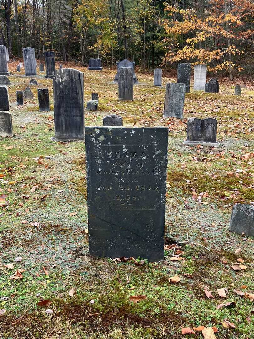 Eliza Nichols's grave. Photo 1