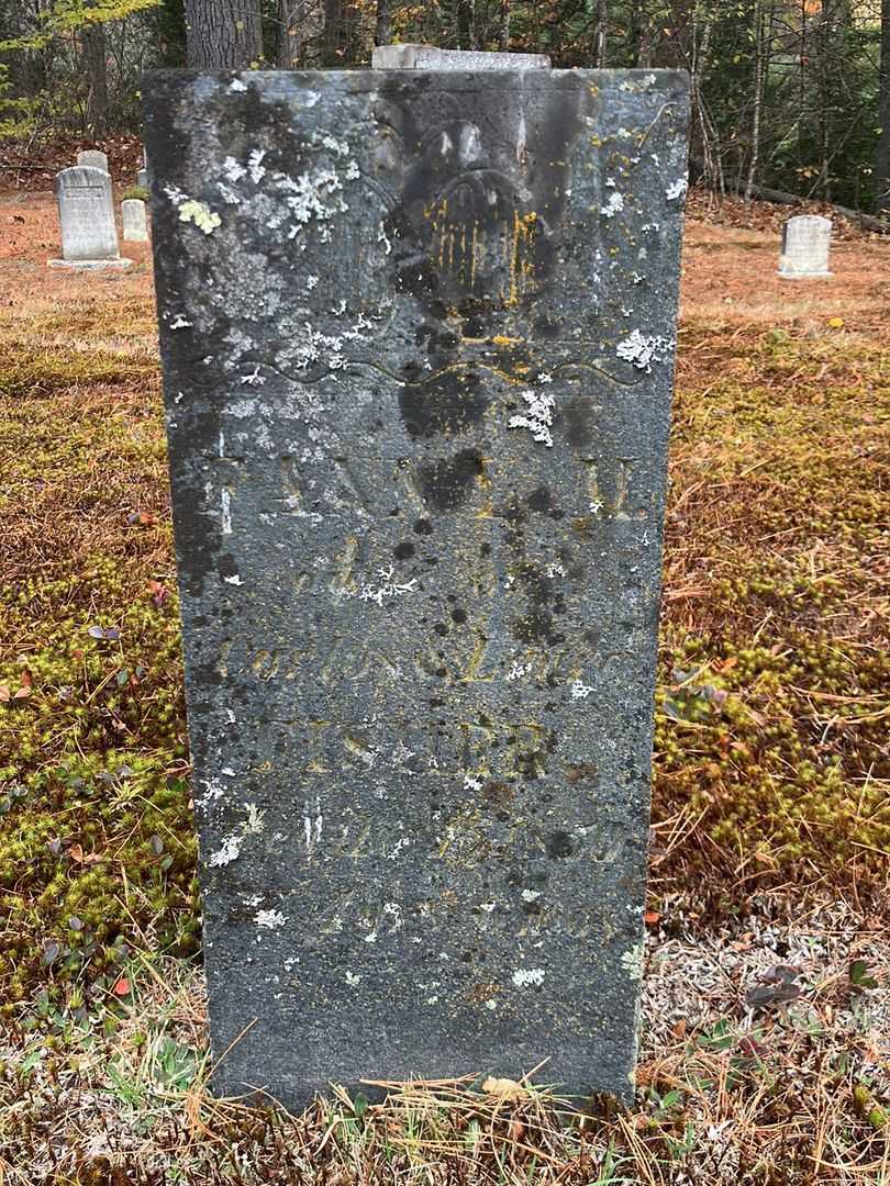 Fanny Fisher's grave. Photo 2