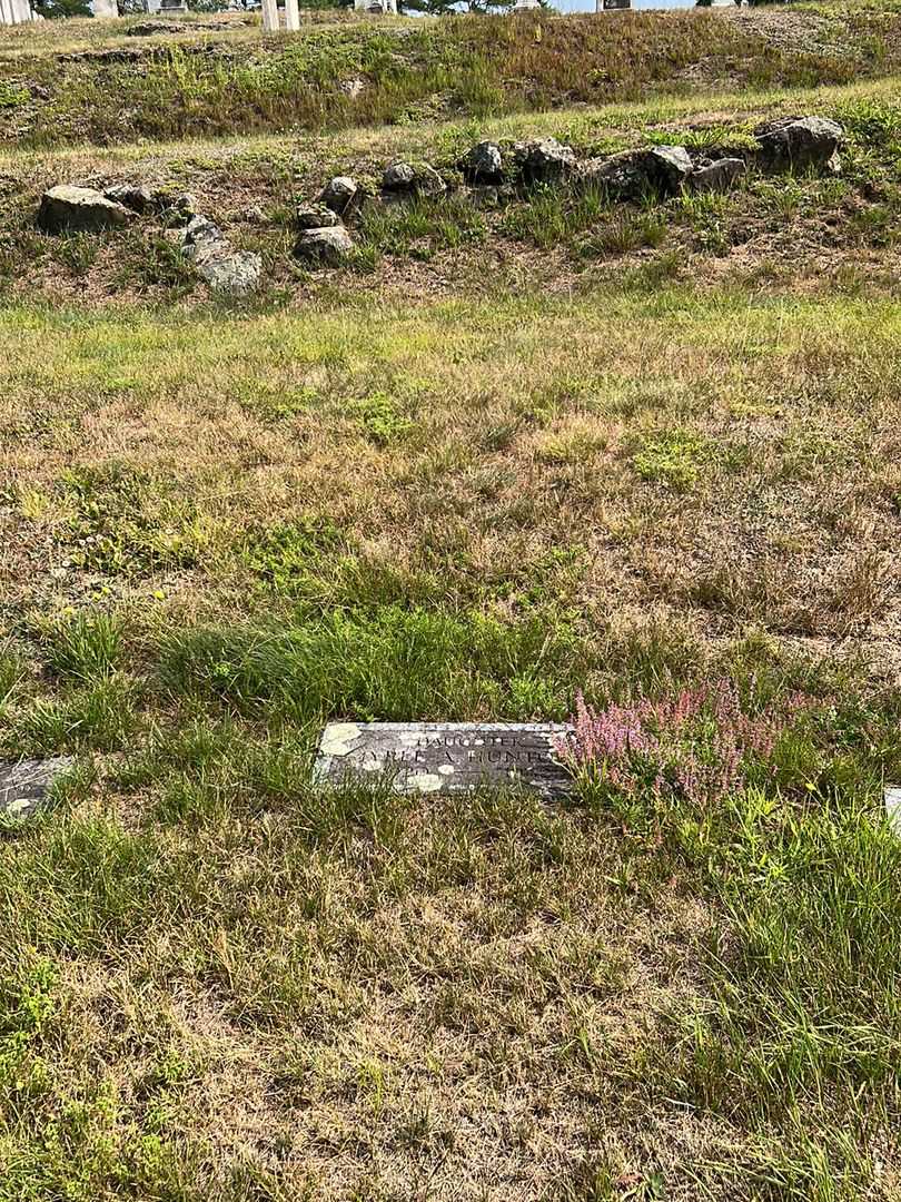 Myrle A. Young Huntog's grave. Photo 1