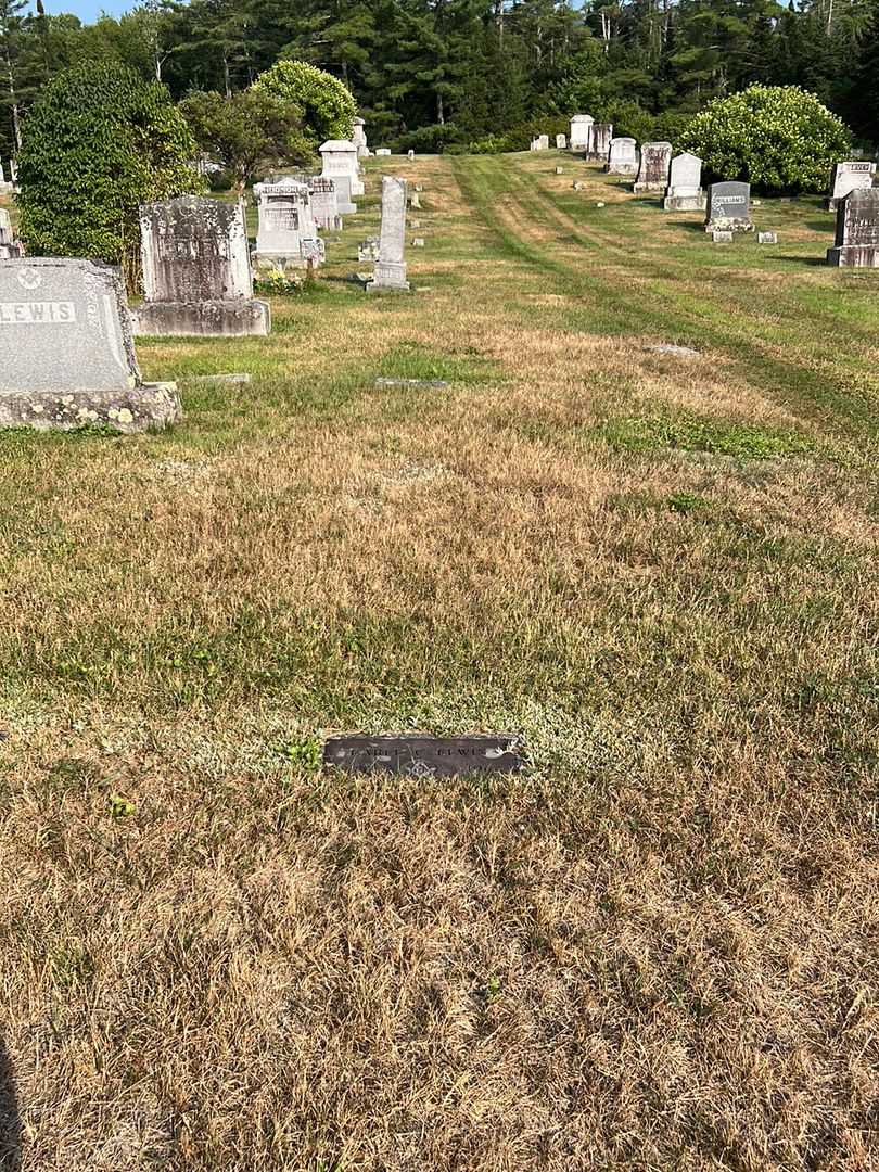 Earle C. Lewis's grave. Photo 2