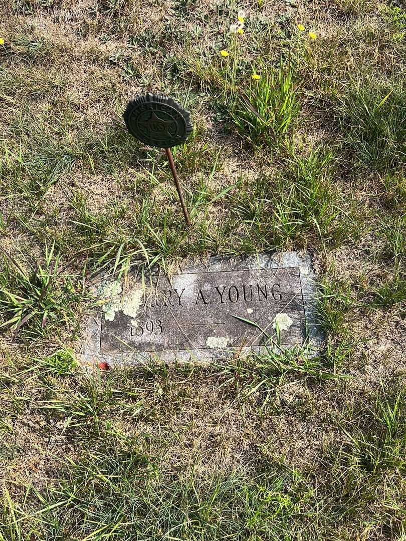 Henry Arthur Young's grave. Photo 2