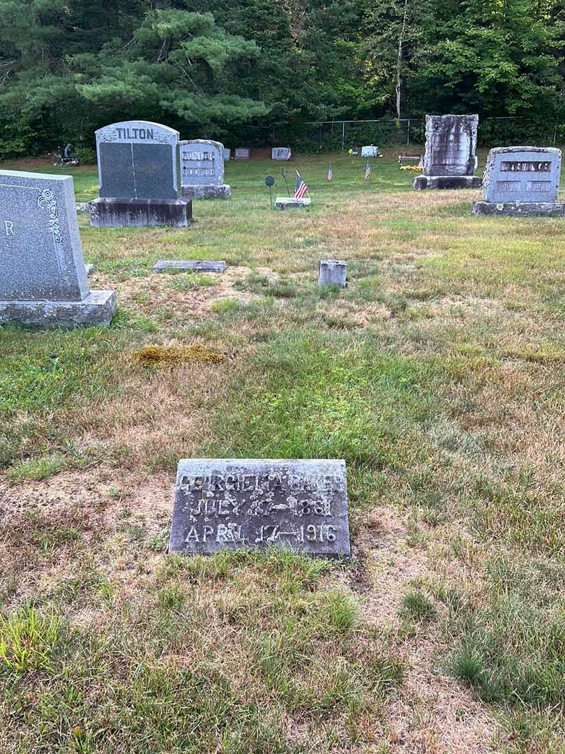 Georgietta Baker's grave. Photo 2