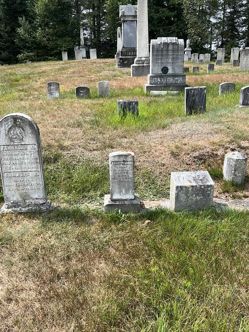 Harry Ferrell Folsom's grave. Photo 1