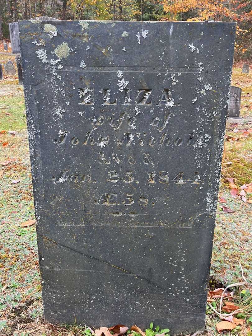Eliza Nichols's grave. Photo 2
