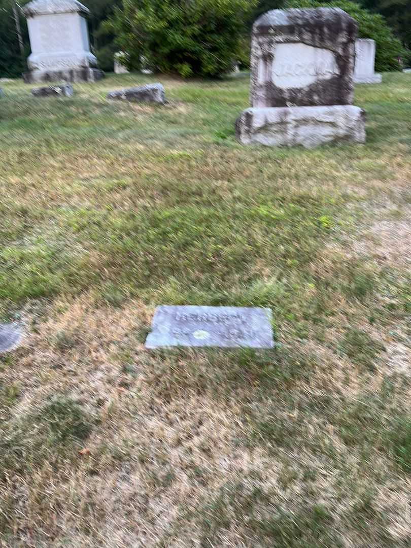 Herbert Jackman's grave. Photo 2