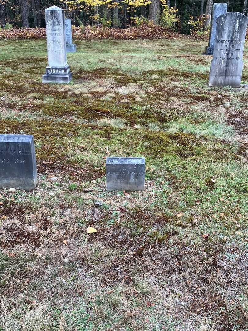 Electa Fisher's grave. Photo 1