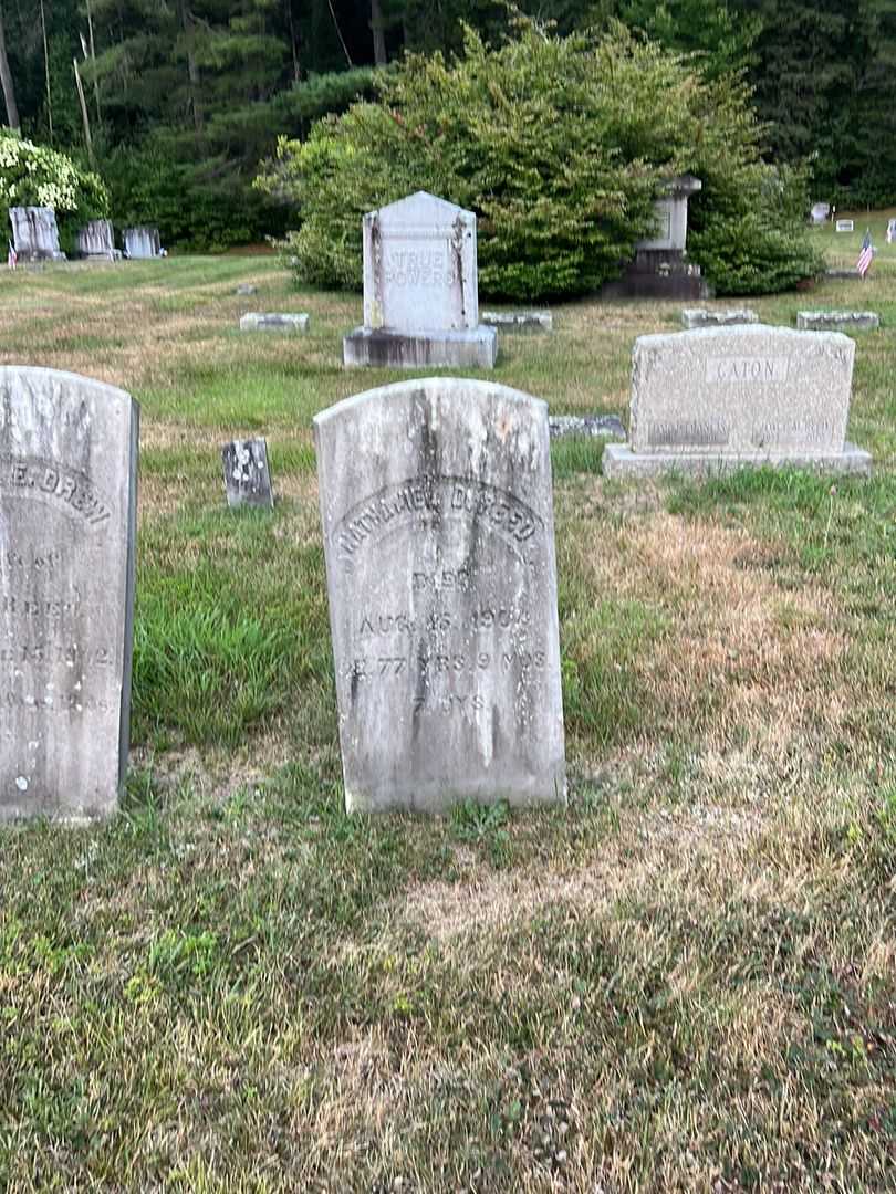 Nathaniel D. Reed's grave. Photo 1