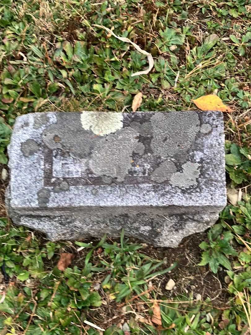 Ella M. Higgins Samson's grave. Photo 3