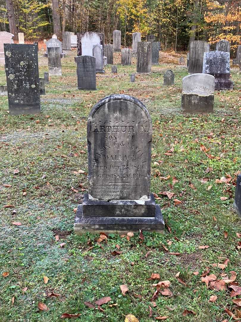Arthur N. Wallace's grave. Photo 1