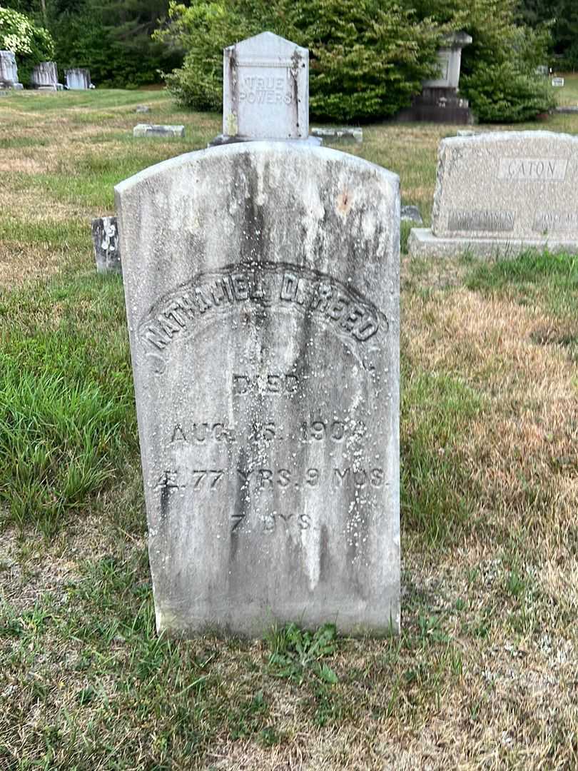 Nathaniel D. Reed's grave. Photo 2