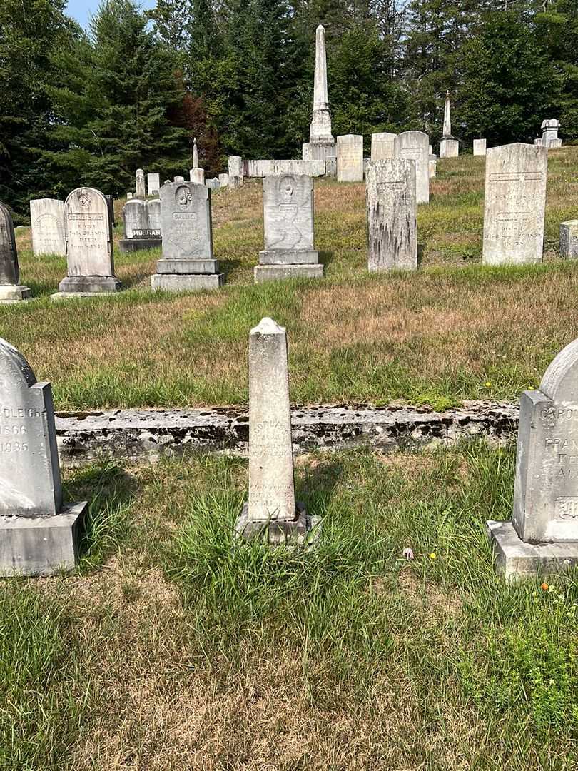 Corles S. Wadleigh's grave. Photo 1