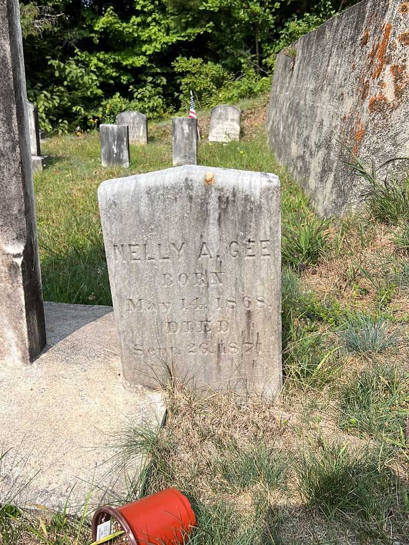 Nelly A. Gee's grave. Photo 2