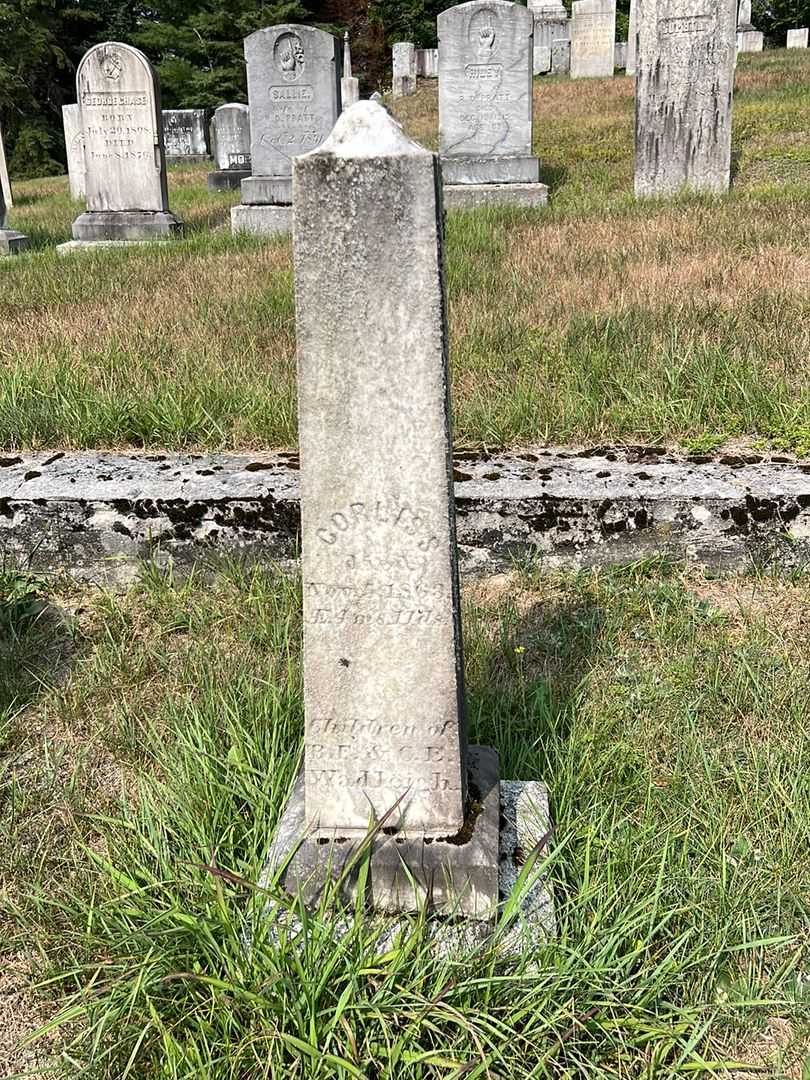 Corles S. Wadleigh's grave. Photo 2