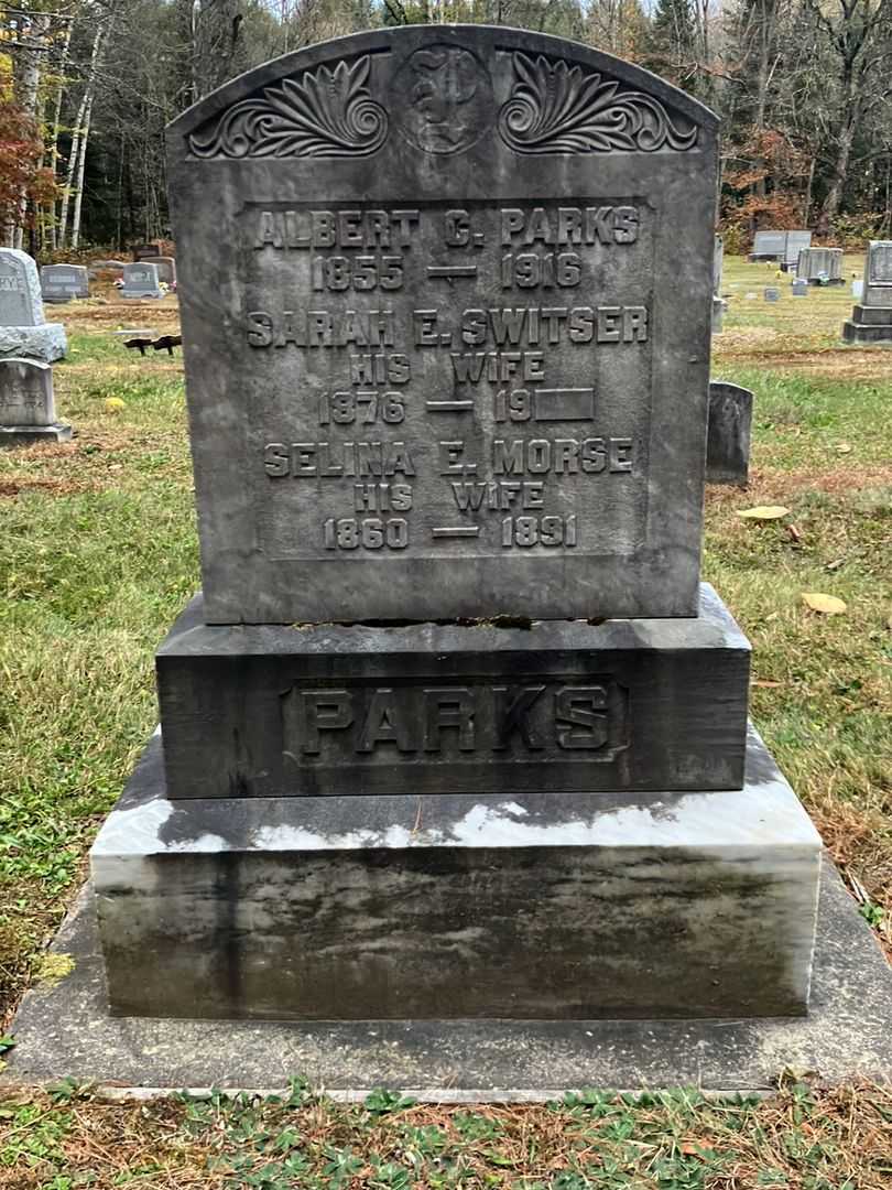 Albert C. Parks's grave. Photo 2