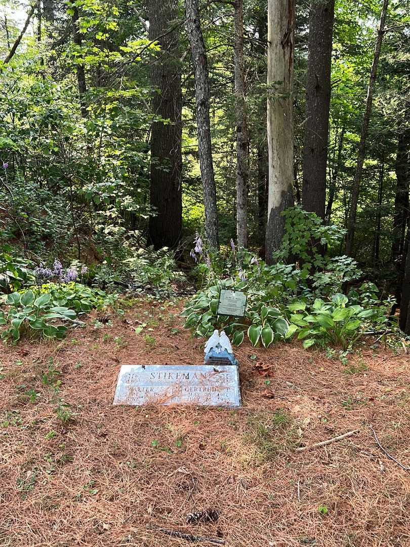 Walter S. Stikeman's grave. Photo 1