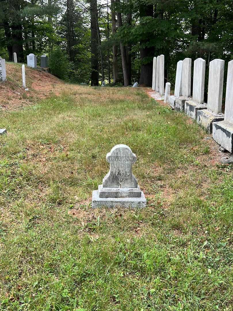 Luva Ann Osgood's grave. Photo 1