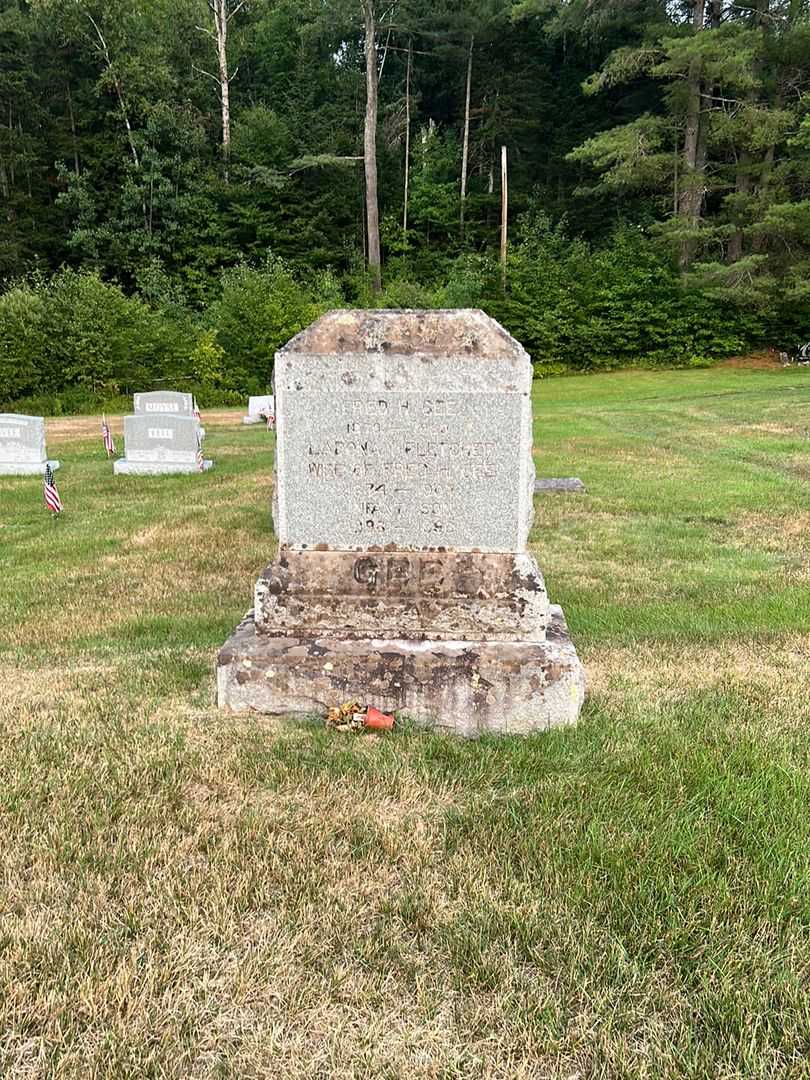 Baby Gee's grave. Photo 1