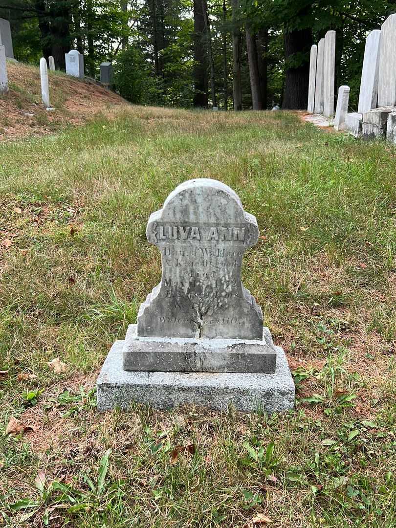 Luva Ann Osgood's grave. Photo 2