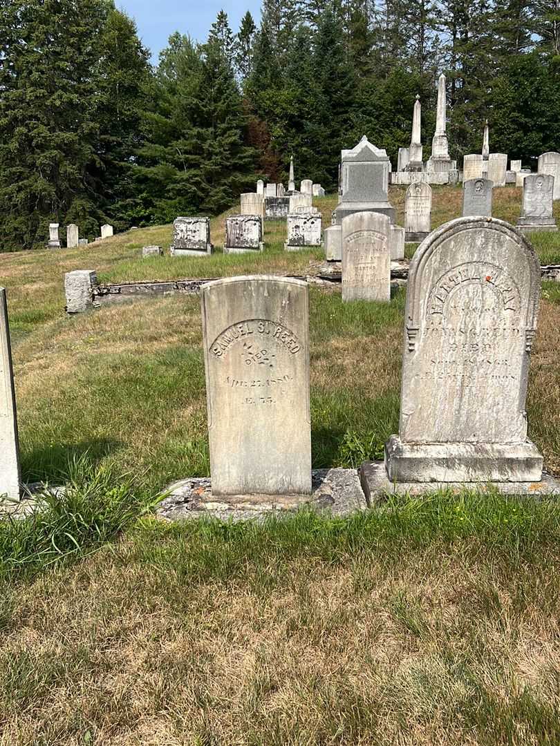 Samuel S. Reed's grave. Photo 1