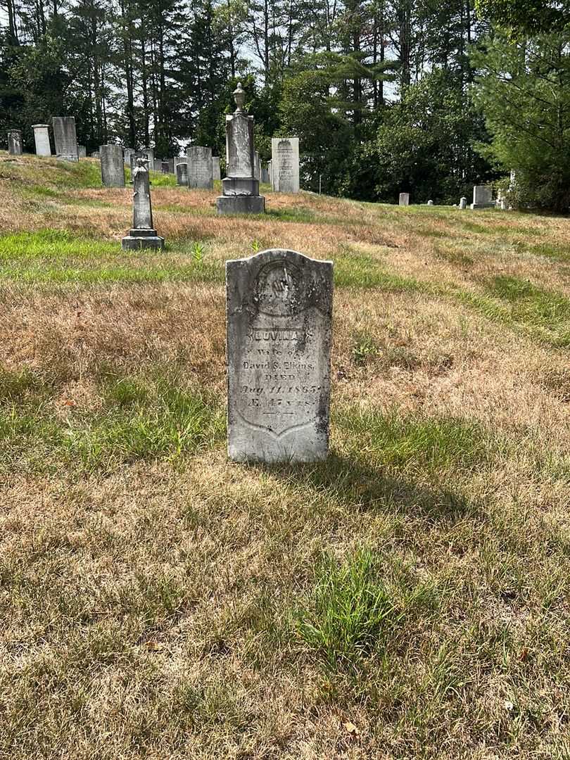 Lovina Elkins's grave. Photo 1
