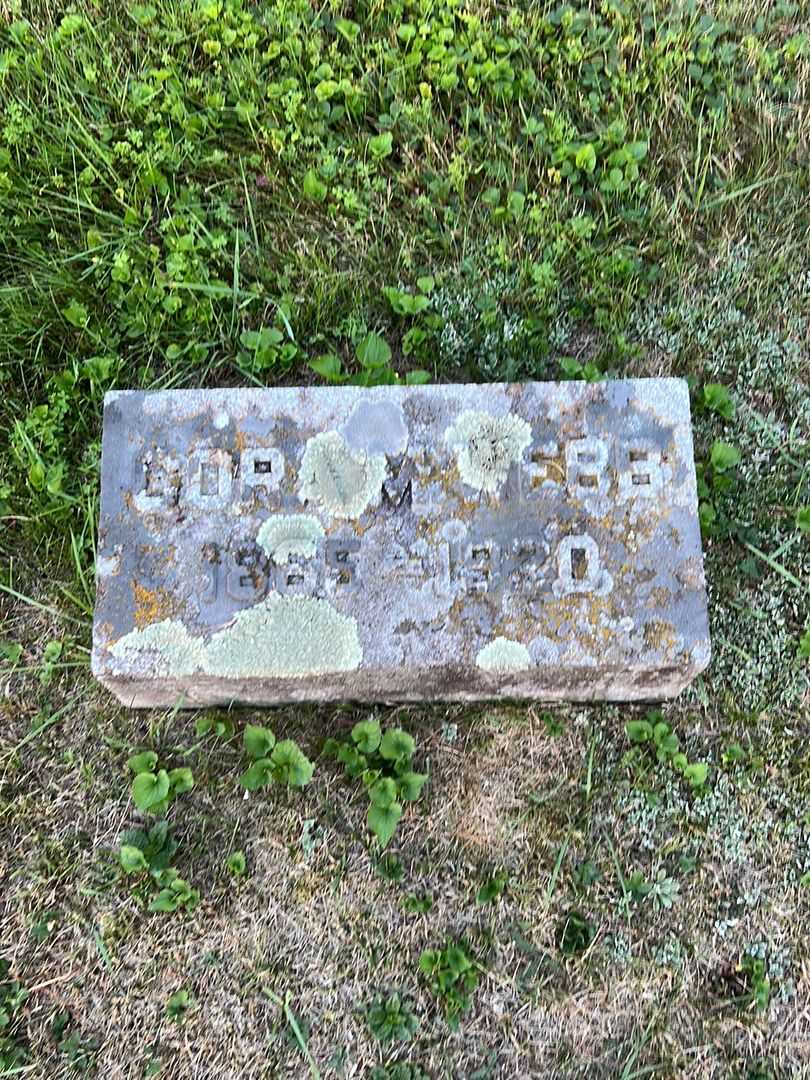 Dora M. Webb's grave. Photo 2