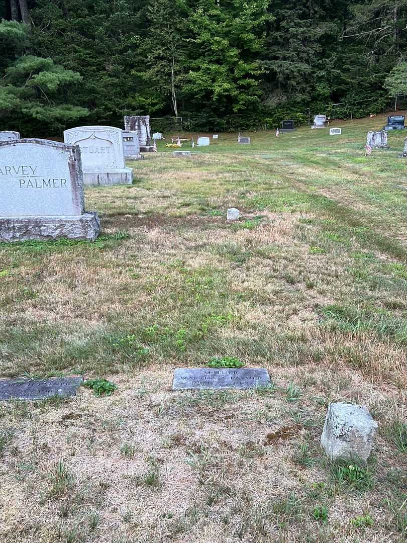 Martha A. Palmer's grave. Photo 2