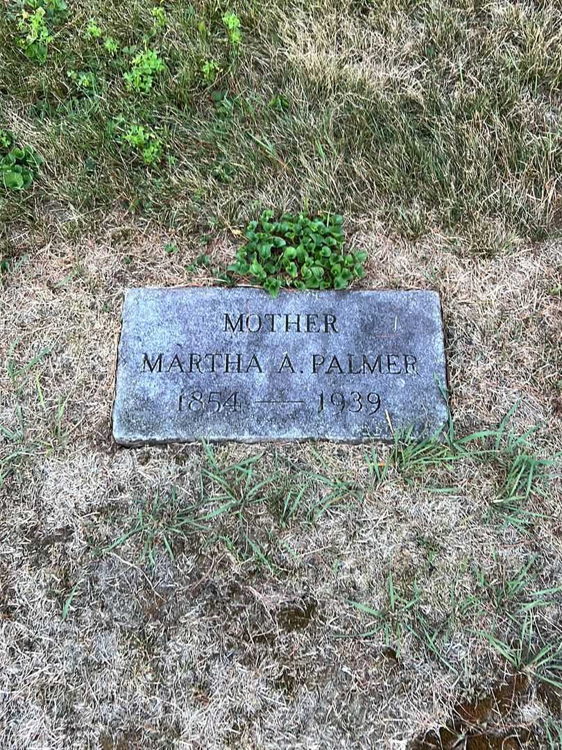Martha A. Palmer's grave. Photo 3