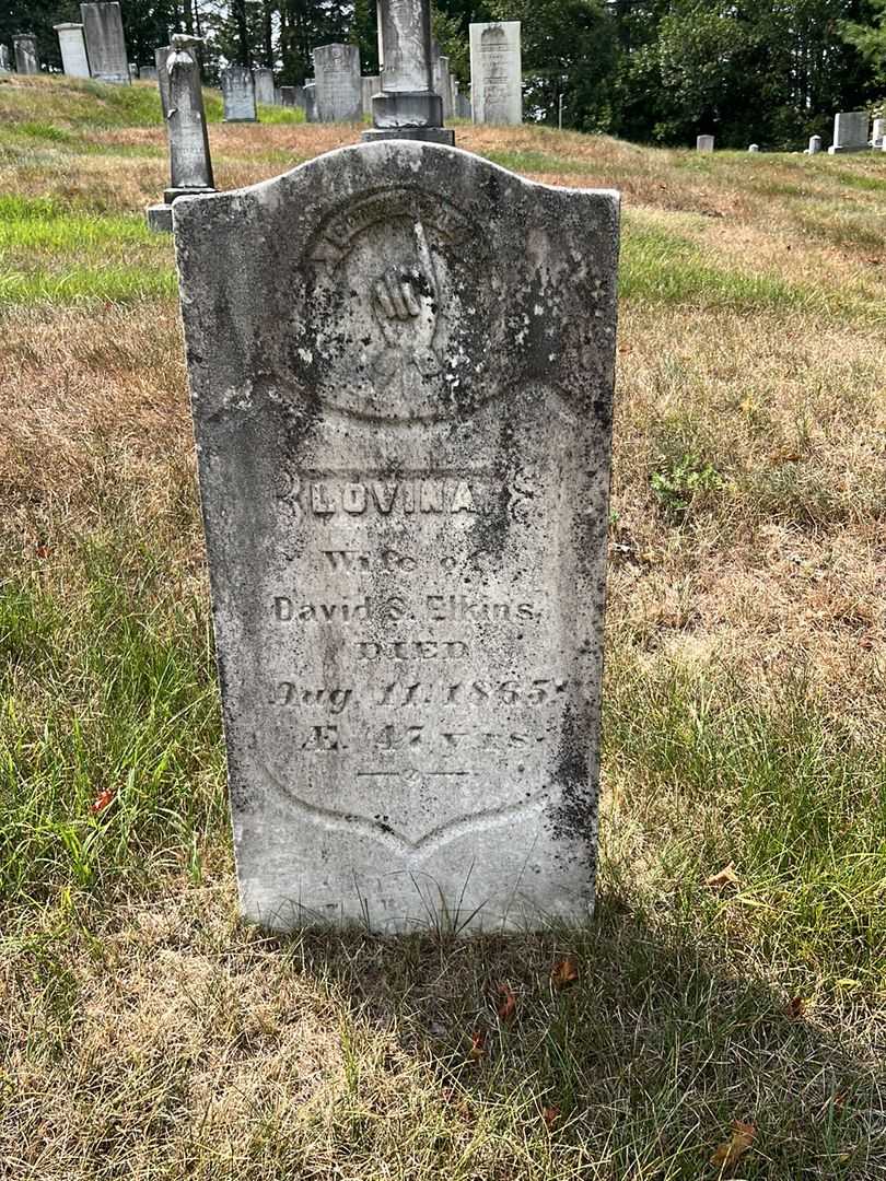 Lovina Elkins's grave. Photo 2