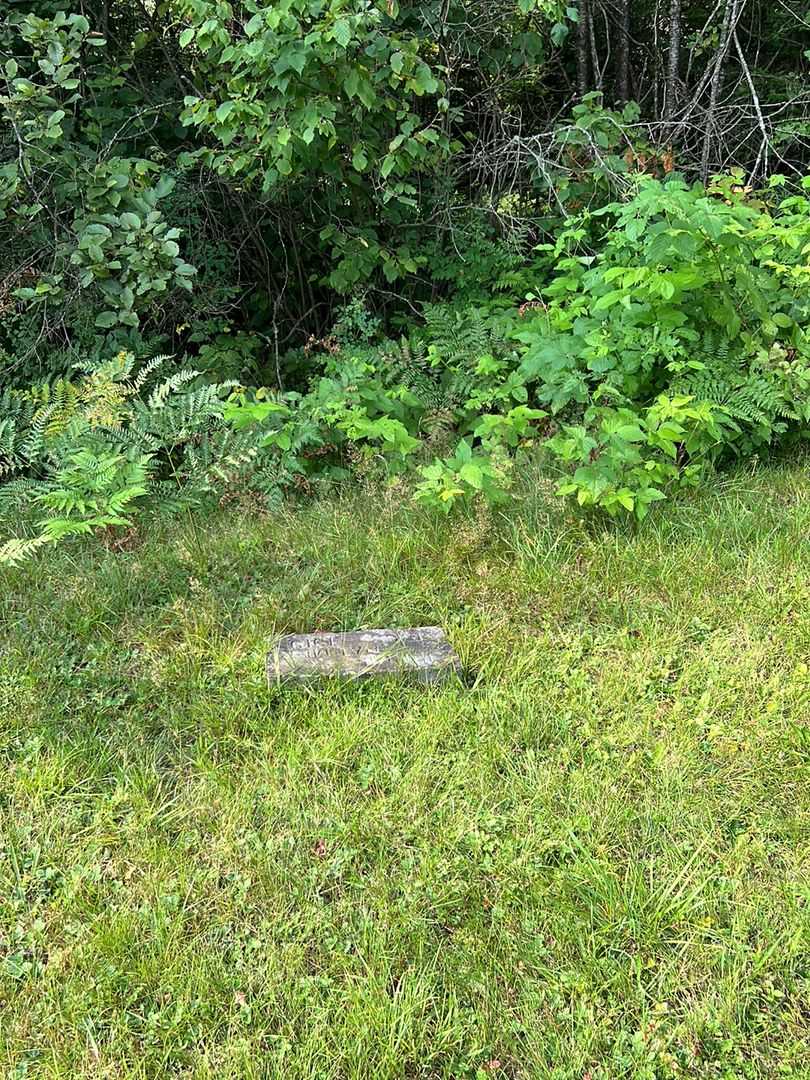 Jennie Palmer's grave. Photo 1