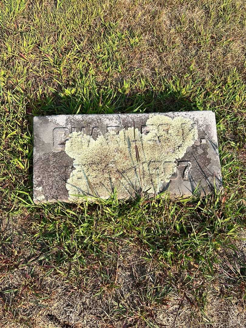 Charles H. Rainey's grave. Photo 3