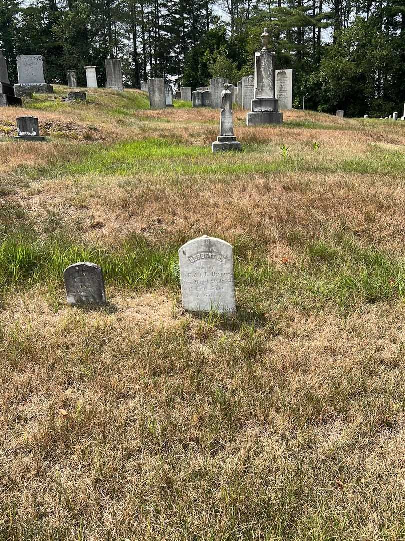 Herbert B. Hayes's grave. Photo 1