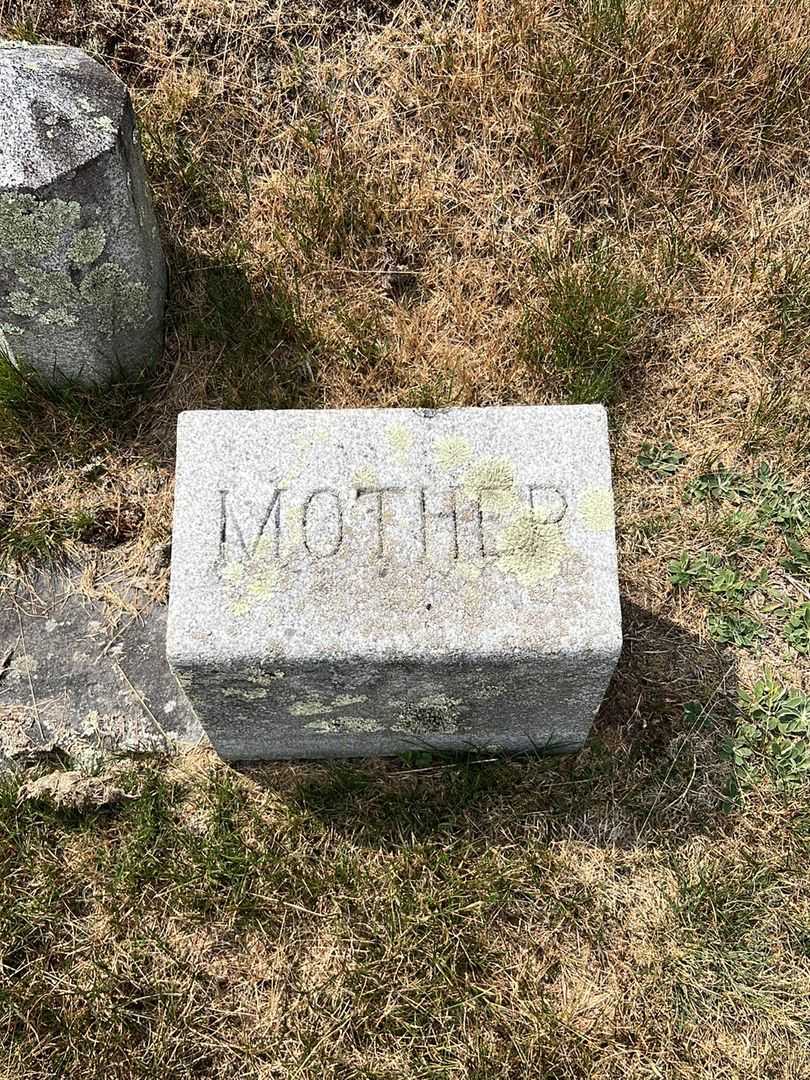 Eliza A. Bucbee "Louisa" Folsom's grave. Photo 2