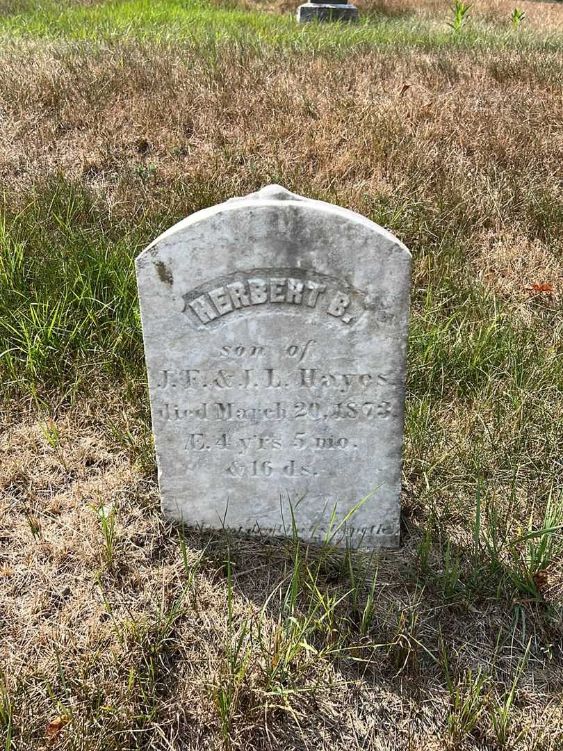 Herbert B. Hayes's grave. Photo 2