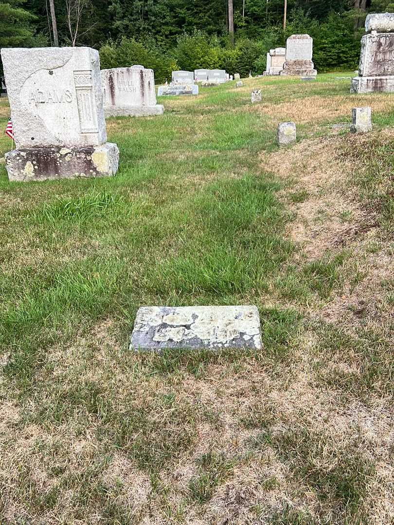 Emery Adams's grave. Photo 2