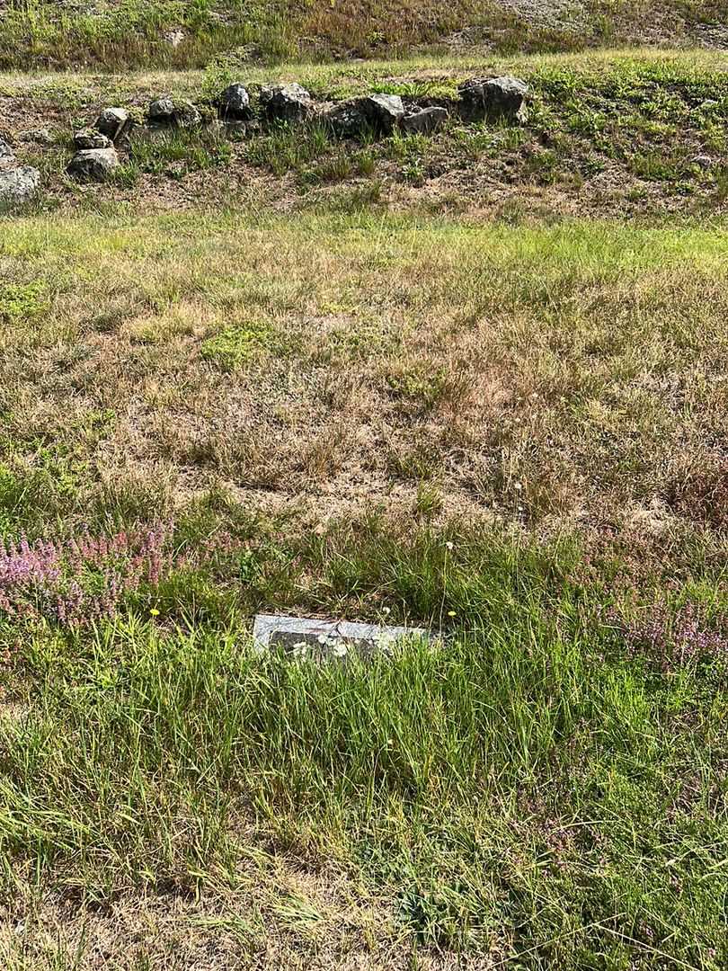 Ellen Elizabeth Young's grave. Photo 1