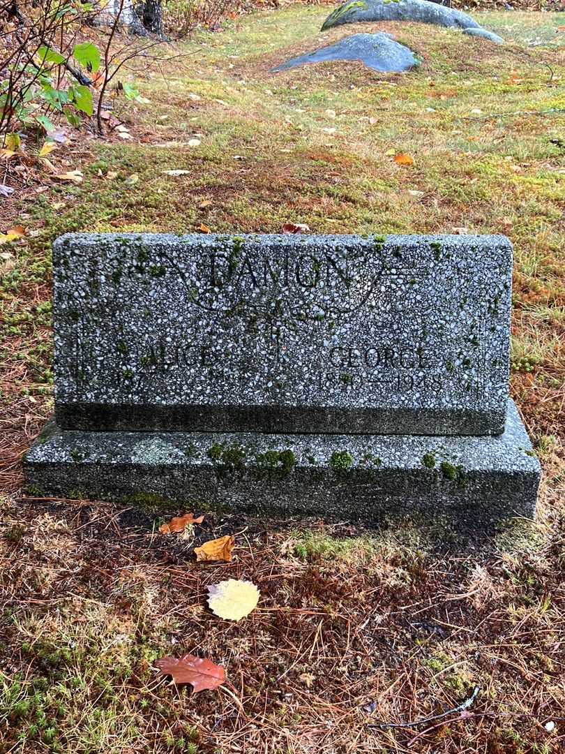 George Damon's grave. Photo 2