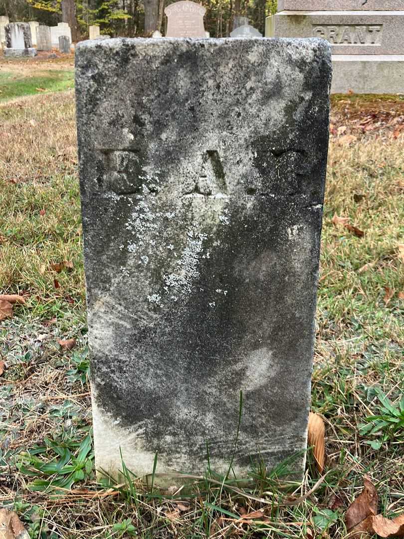 Elvira A. Bemies's grave. Photo 3