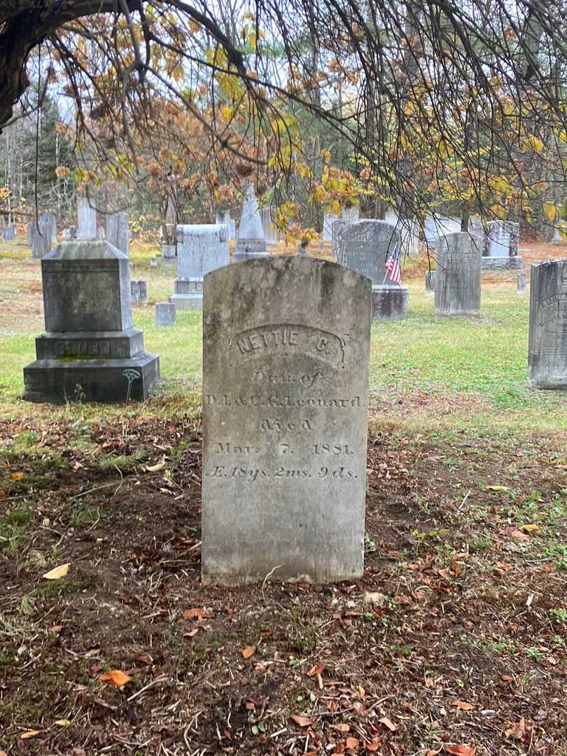 Nettie C. Leonard's grave. Photo 1