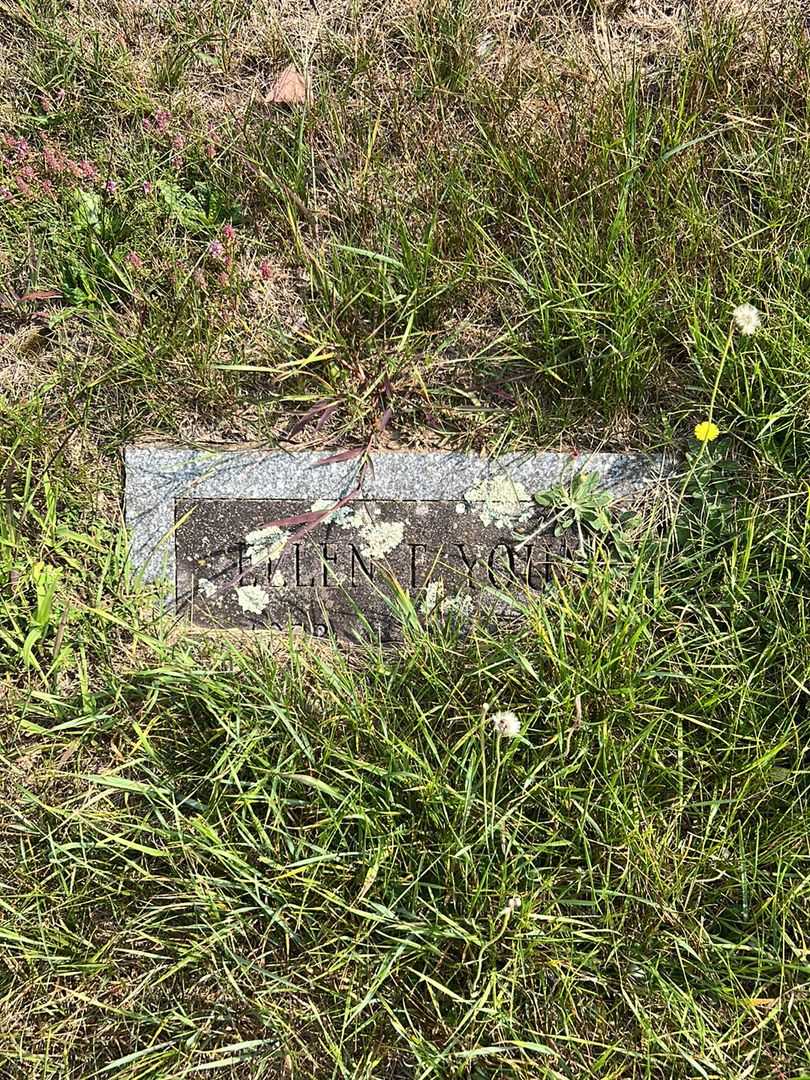 Ellen Elizabeth Young's grave. Photo 2